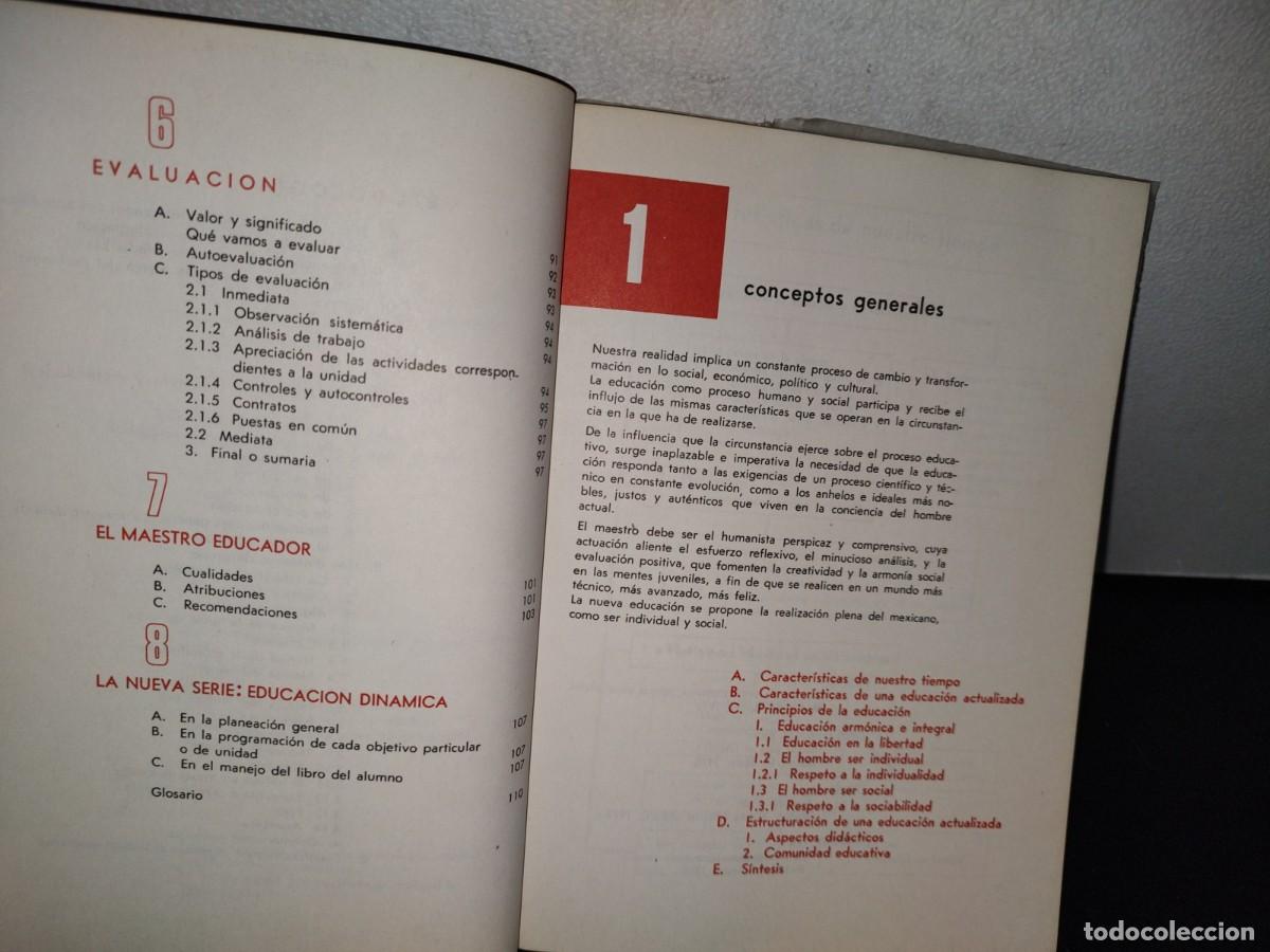 Libros de segunda mano: 189- BASES DID&Aacute;CTICAS - MAR&Iacute;A RITA FERRINI - Foto 6