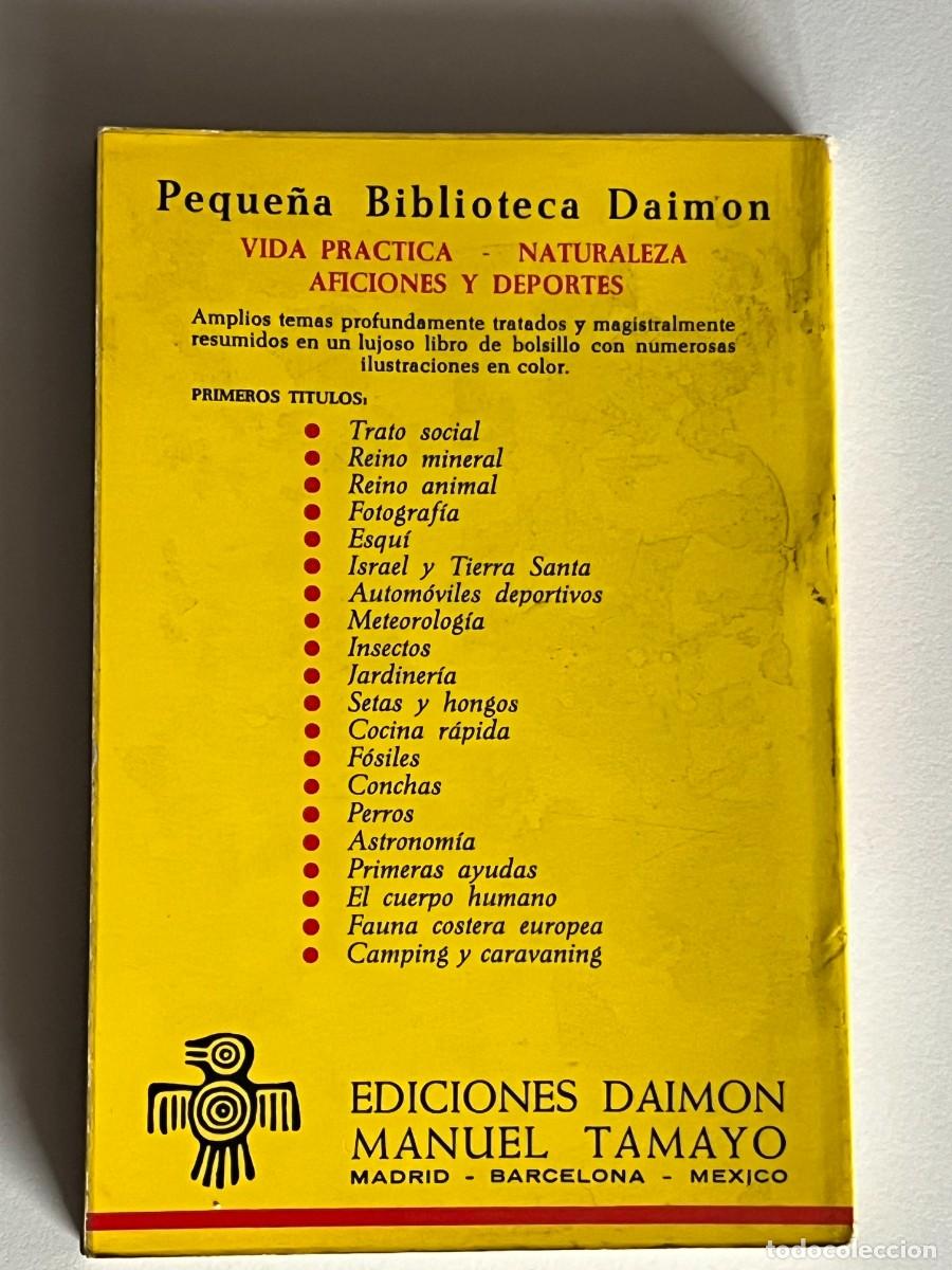 Libros de segunda mano: FOTOGRAFIA-EDITORIAL DAIMON - Foto 2