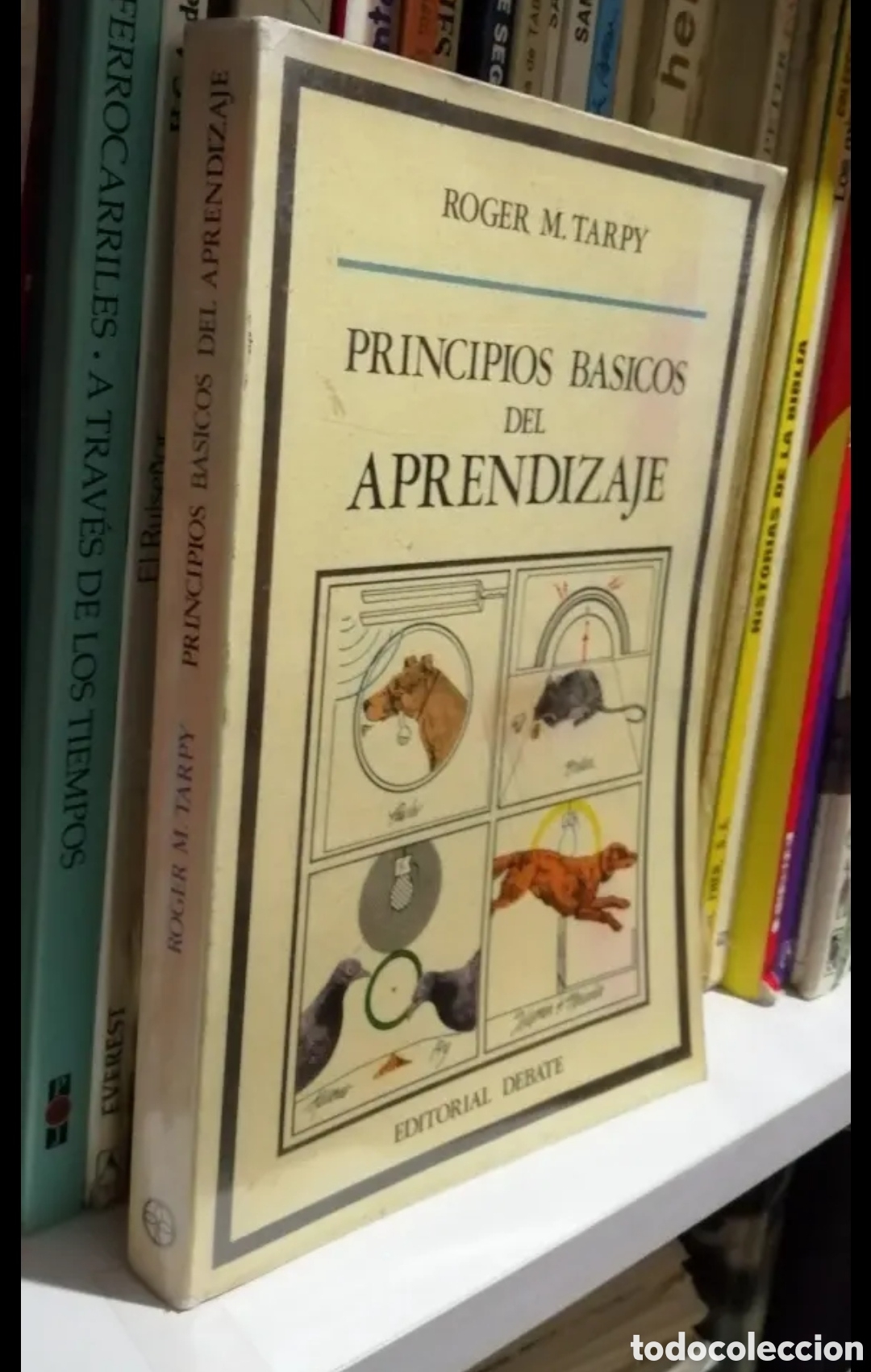 Libros de segunda mano: Principios b&aacute;sicos del aprendizaje. Roger M. Tarpy. - Foto 8