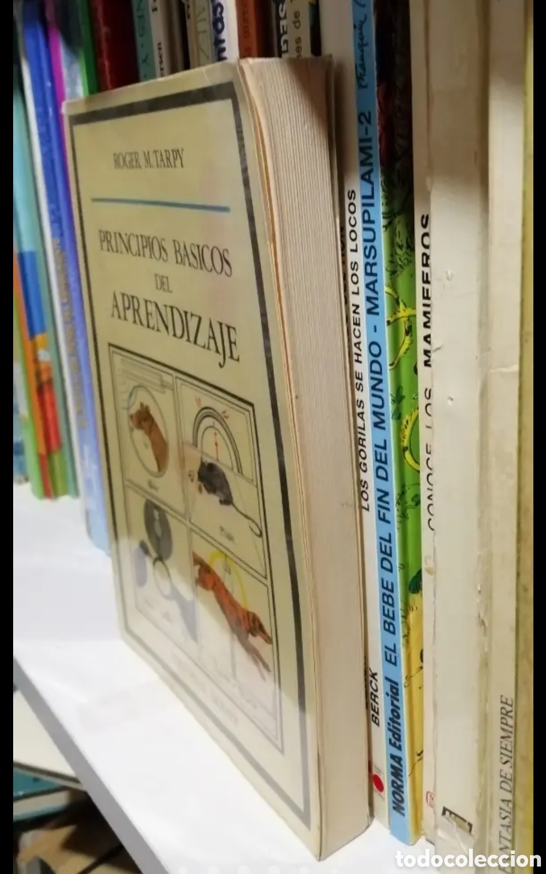 Libros de segunda mano: Principios b&aacute;sicos del aprendizaje. Roger M. Tarpy. - Foto 9