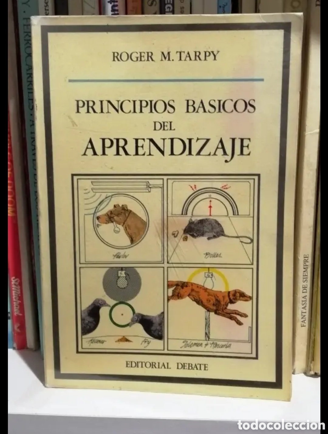 Libros de segunda mano: Principios b&aacute;sicos del aprendizaje. Roger M. Tarpy. - Foto 1