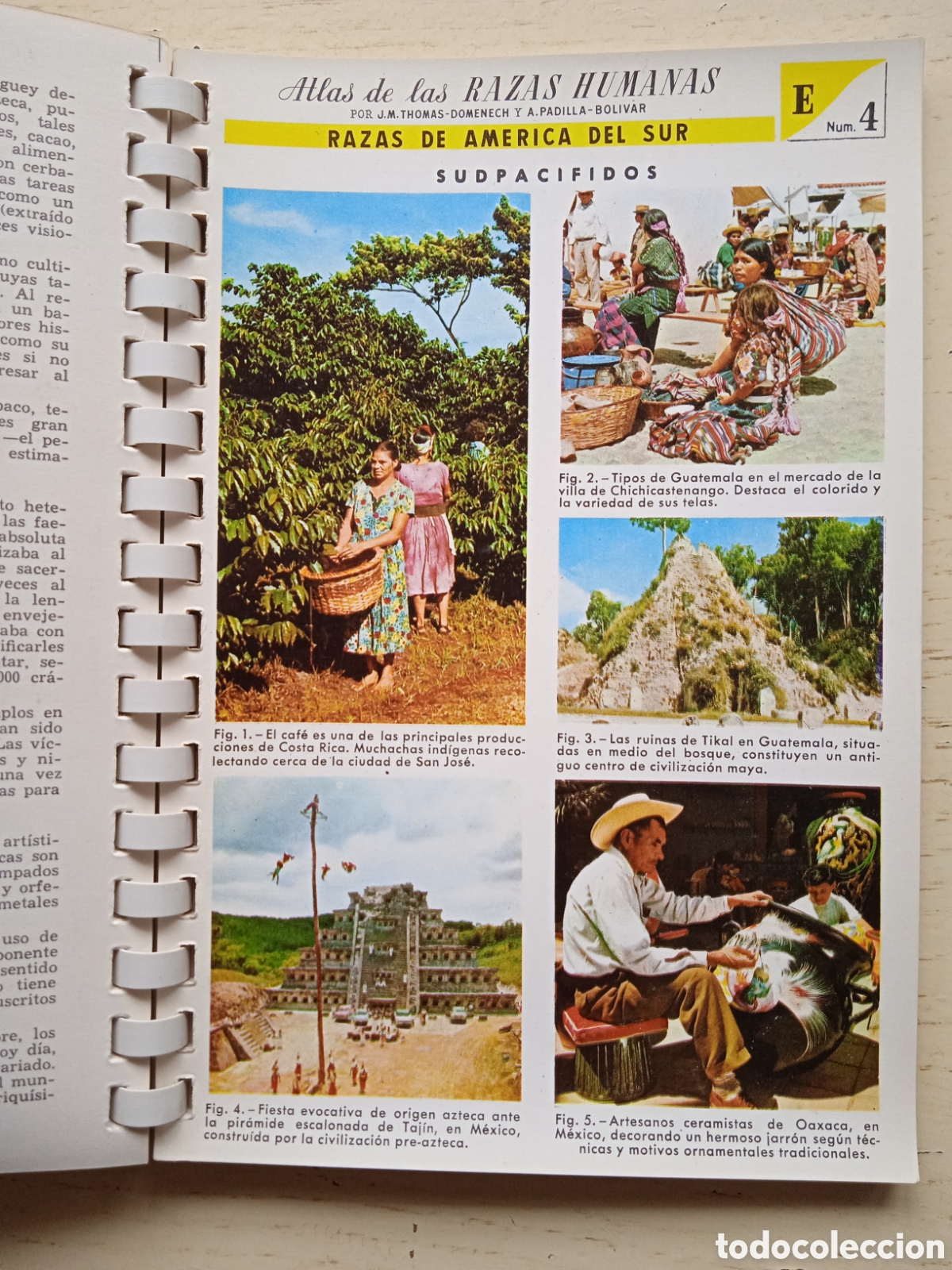 Libros de segunda mano: Atlas de Razas Humanas - Foto 2