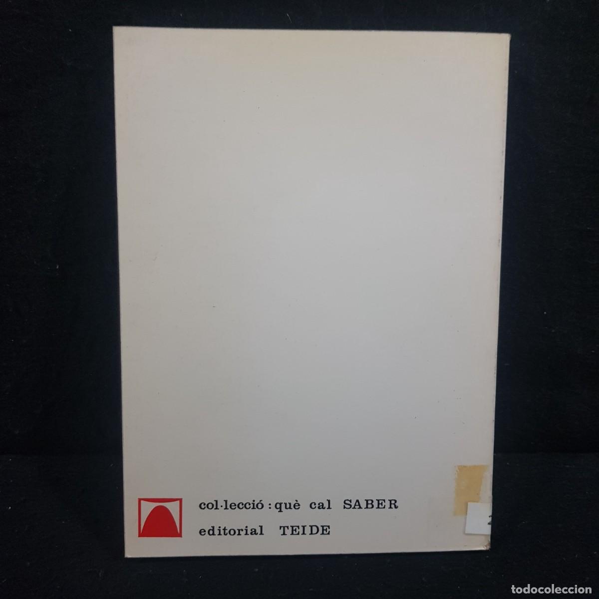 Libros de segunda mano: LEDUCACI&Oacute; PERMANENT, AVUI - LENDRAND - QU&Egrave; CAL SABER / 284 - Foto 2
