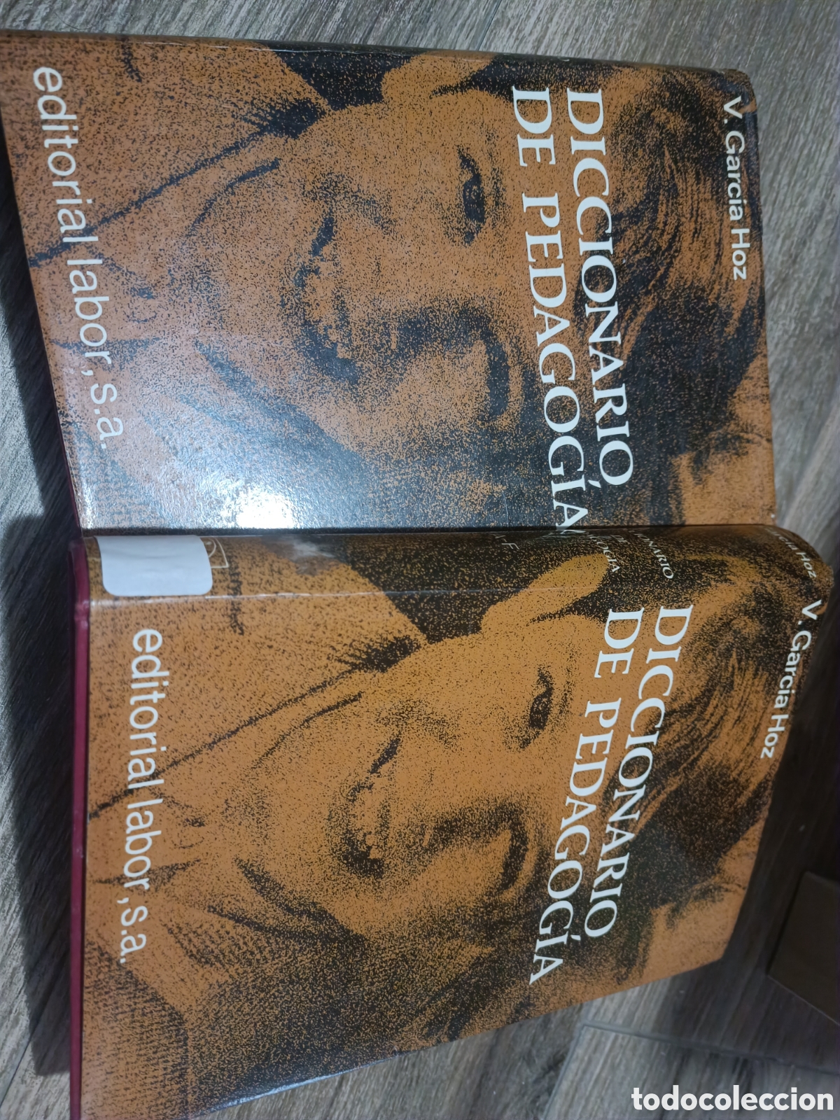 Libros de segunda mano: Dicionario de Pedagog&iacute;a (dos tomos) - Foto 1