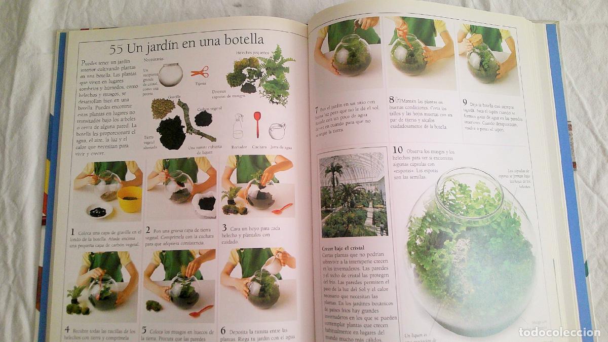 Libros de segunda mano: LIBRO E02 *101 GRANDES EXPERIMENTOS, LA CIENCIA PASO A PASO NEIL ARDELEY EDICIONES B - Foto 4