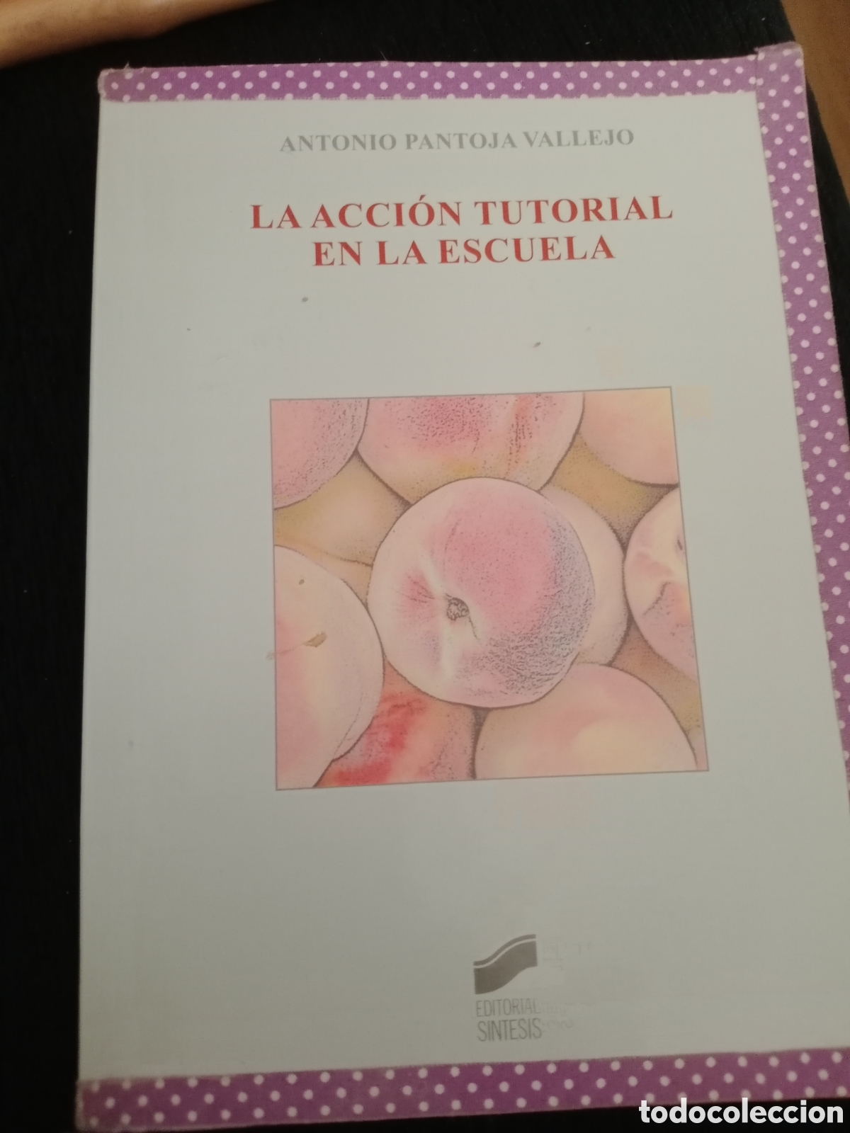 Libros de segunda mano: Toreteblanco la acci&oacute;n tutorial en la escuela Antonio Pantoja Vallejo - Foto 1