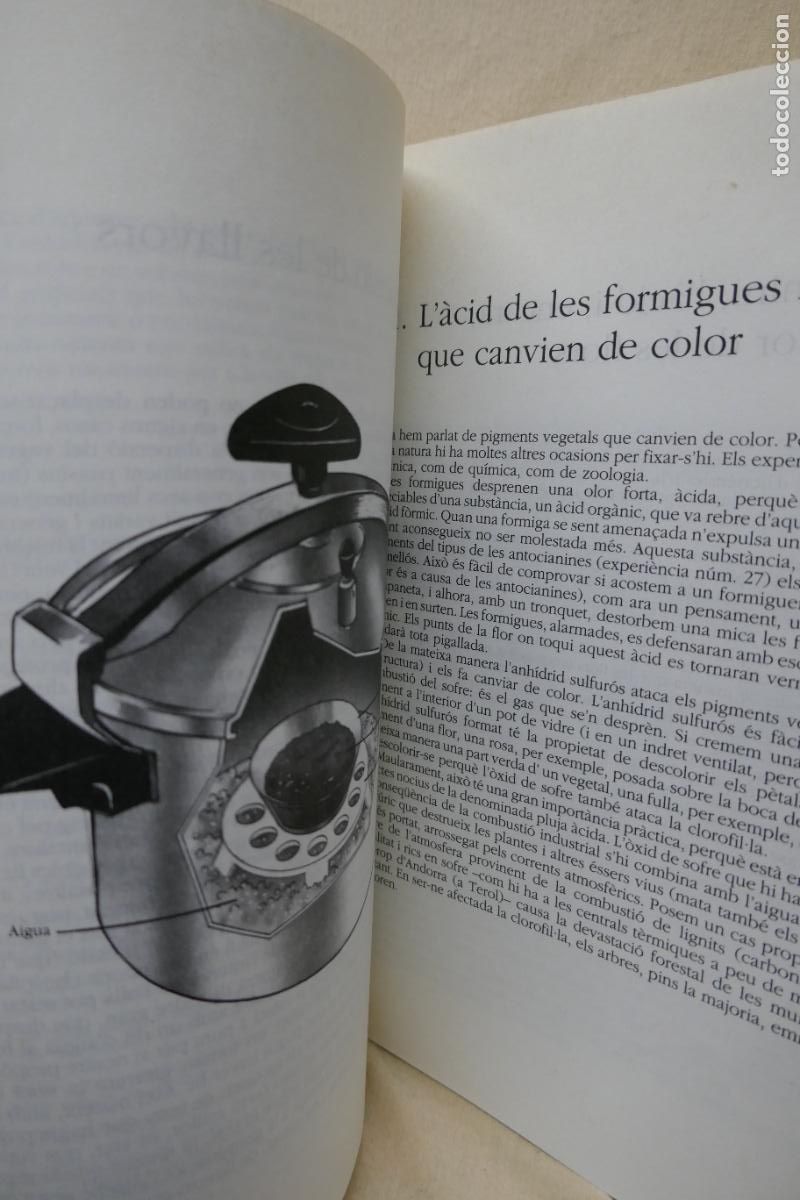 Libros de segunda mano: 2 x PUNT I SEGUIT - EDITORIAL GRA&Oacute; - Foto 22