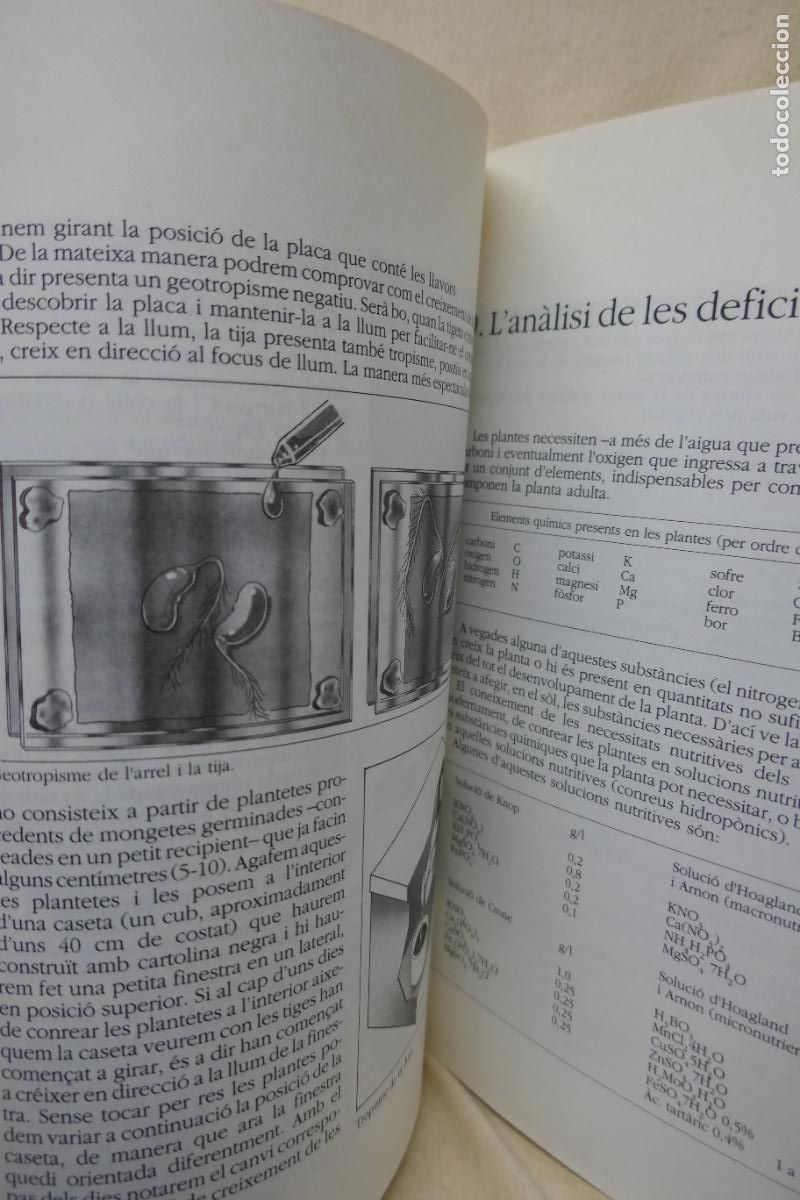 Libros de segunda mano: 2 x PUNT I SEGUIT - EDITORIAL GRA&Oacute; - Foto 23