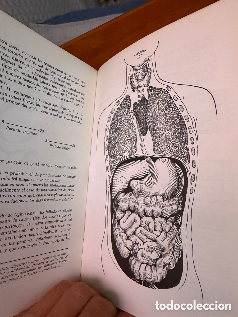 Libros de segunda mano: El libro de la mujer rocamora - Foto 3