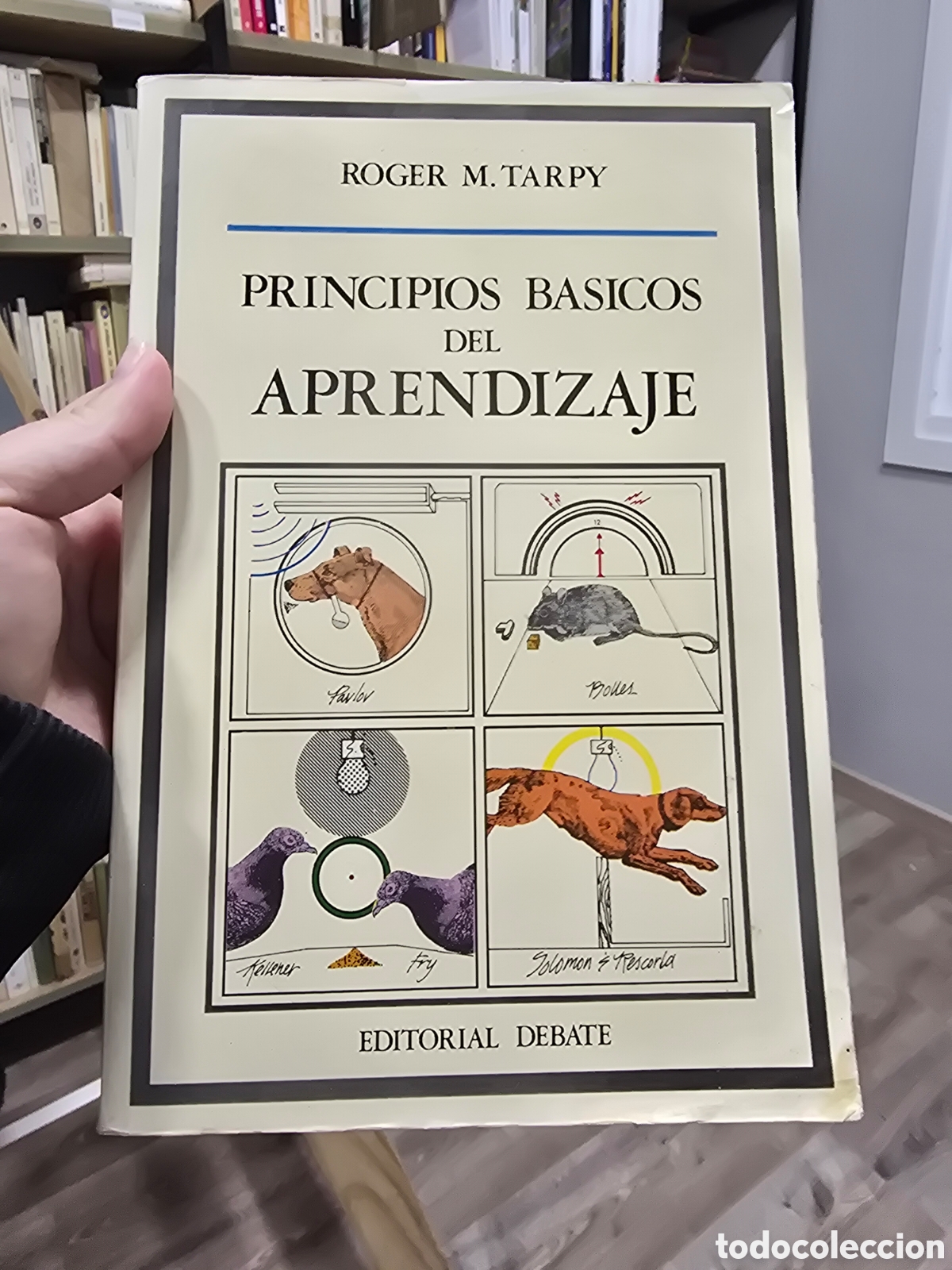 Libros de segunda mano: PRINCIPIOS BASICOS DEL APRENDIZAJE Roger M. Tarpy Editorial Debate 1983 pedagogia