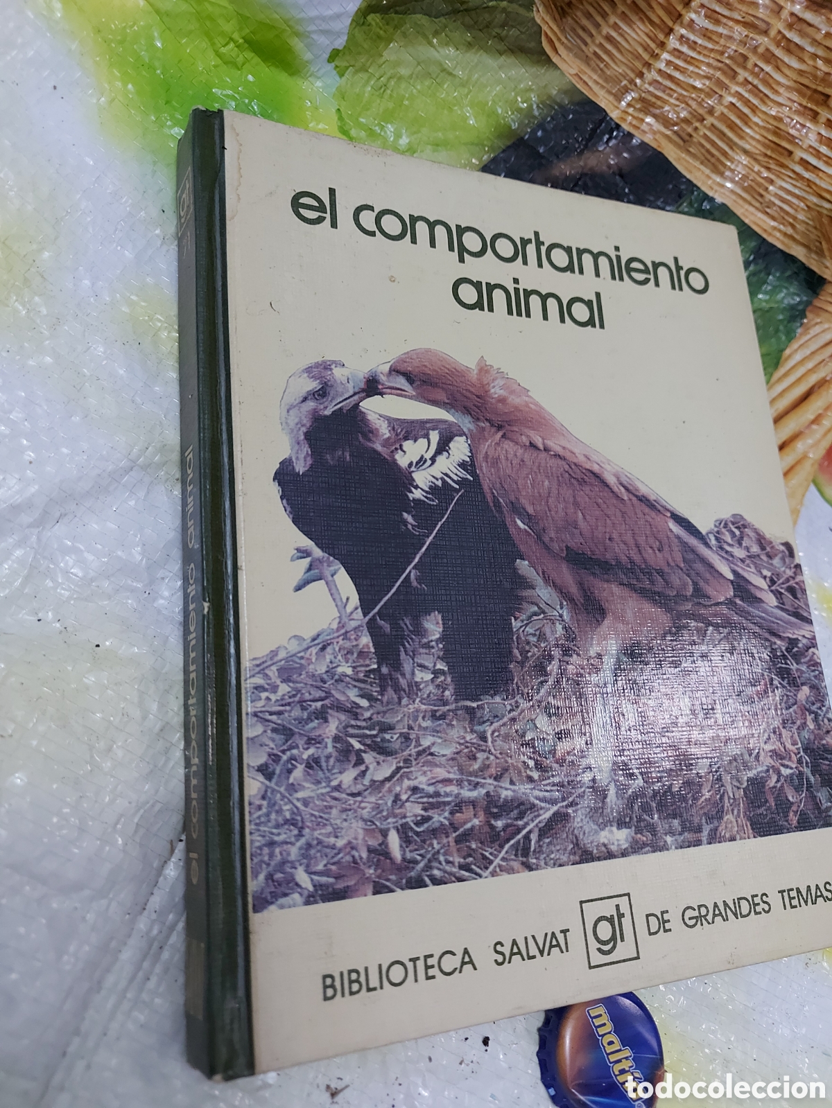 Libros de segunda mano: SALVAT GRANDES TEMAS a&ntilde;o 1973