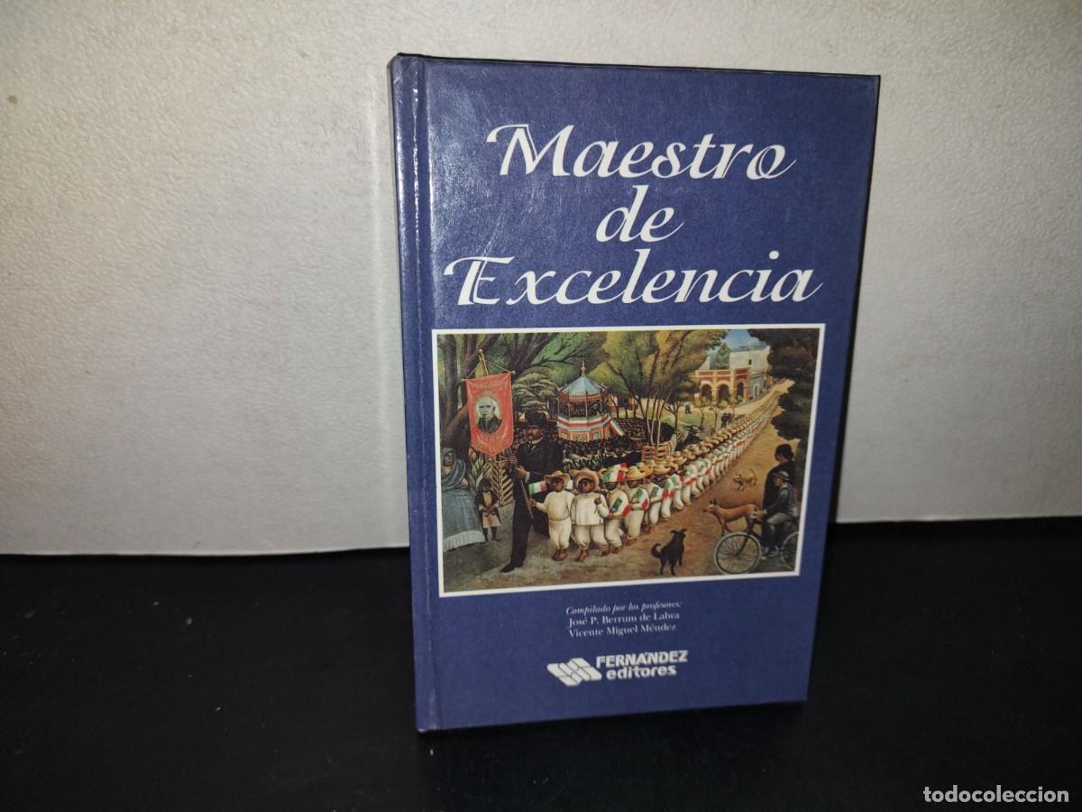 Libros de segunda mano: 216- Maestro De Excelencia - Fern&aacute;ndez Editores