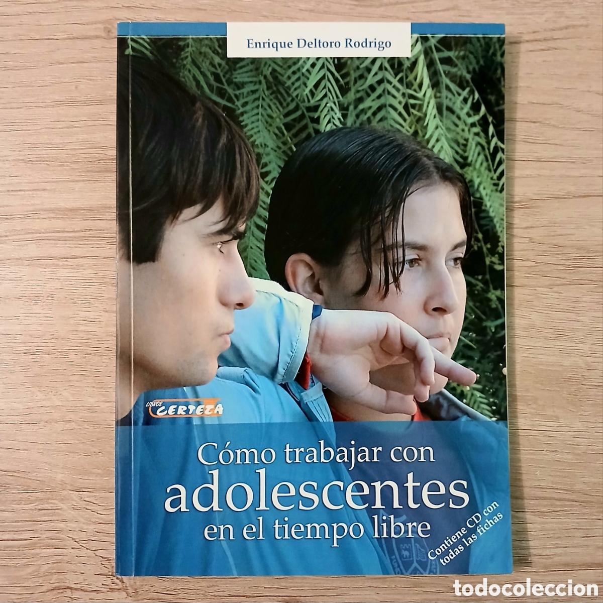 Libros de segunda mano: Libro &rdquo;C&oacute;mo trabajar con adolescentes en el tiempo libre&rdquo;