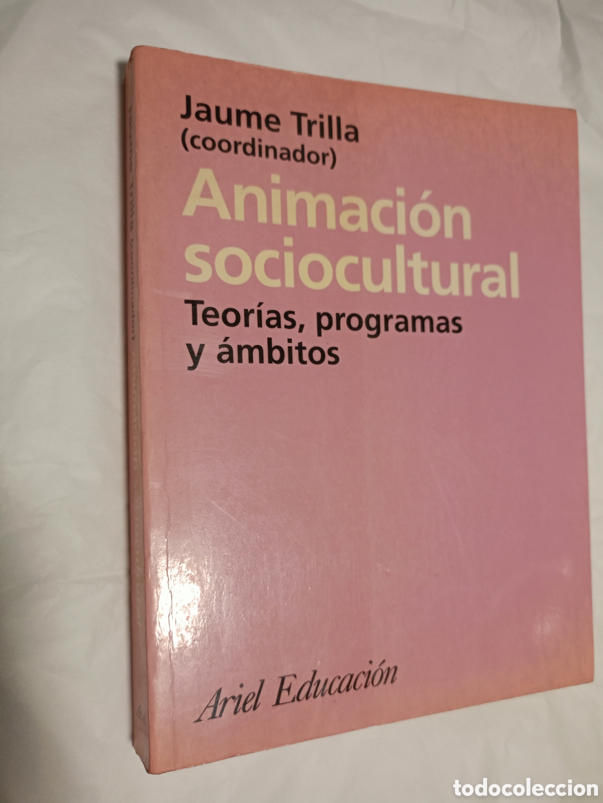 Libros de segunda mano: ANIMACI&Oacute;N SOCIOCULTURAL TEORIAS, PROGRAMAS Y &Aacute;MBITOS. JAUME TRILLA (COORD)