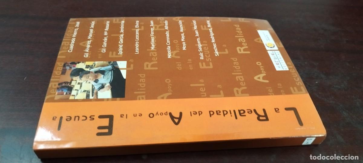 Libros de segunda mano: LA REALIDAD DEL APOYO EN LA ESCUELA / Grupo Suroeste / PU-B&Ntilde;-2 / HERGUE