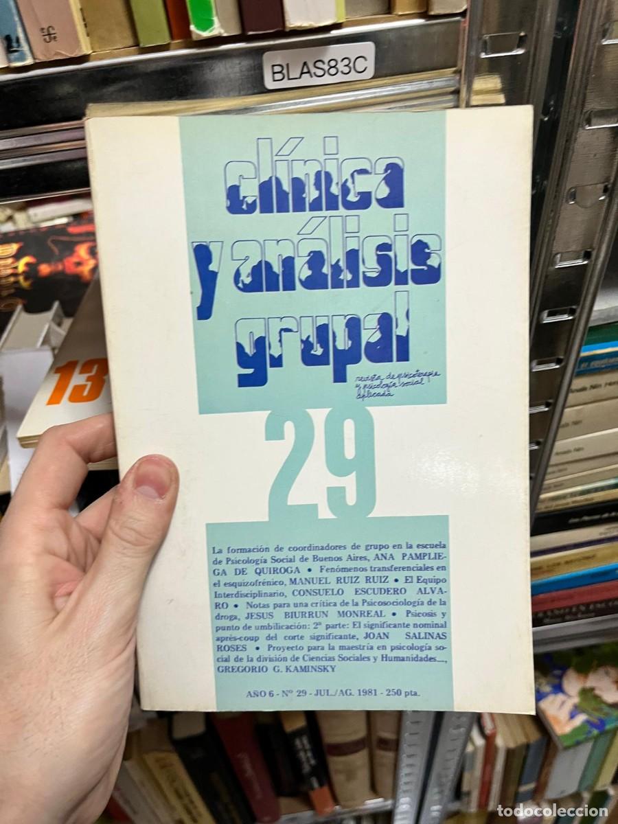 Libros de segunda mano: BLAS83C &ndash; Cl&iacute;nica y An&aacute;lisis Grupal, n&ordm; 29 &ndash; A&ntilde;o 6, julio/agosto 1981. Revista de psicoterapia y psi