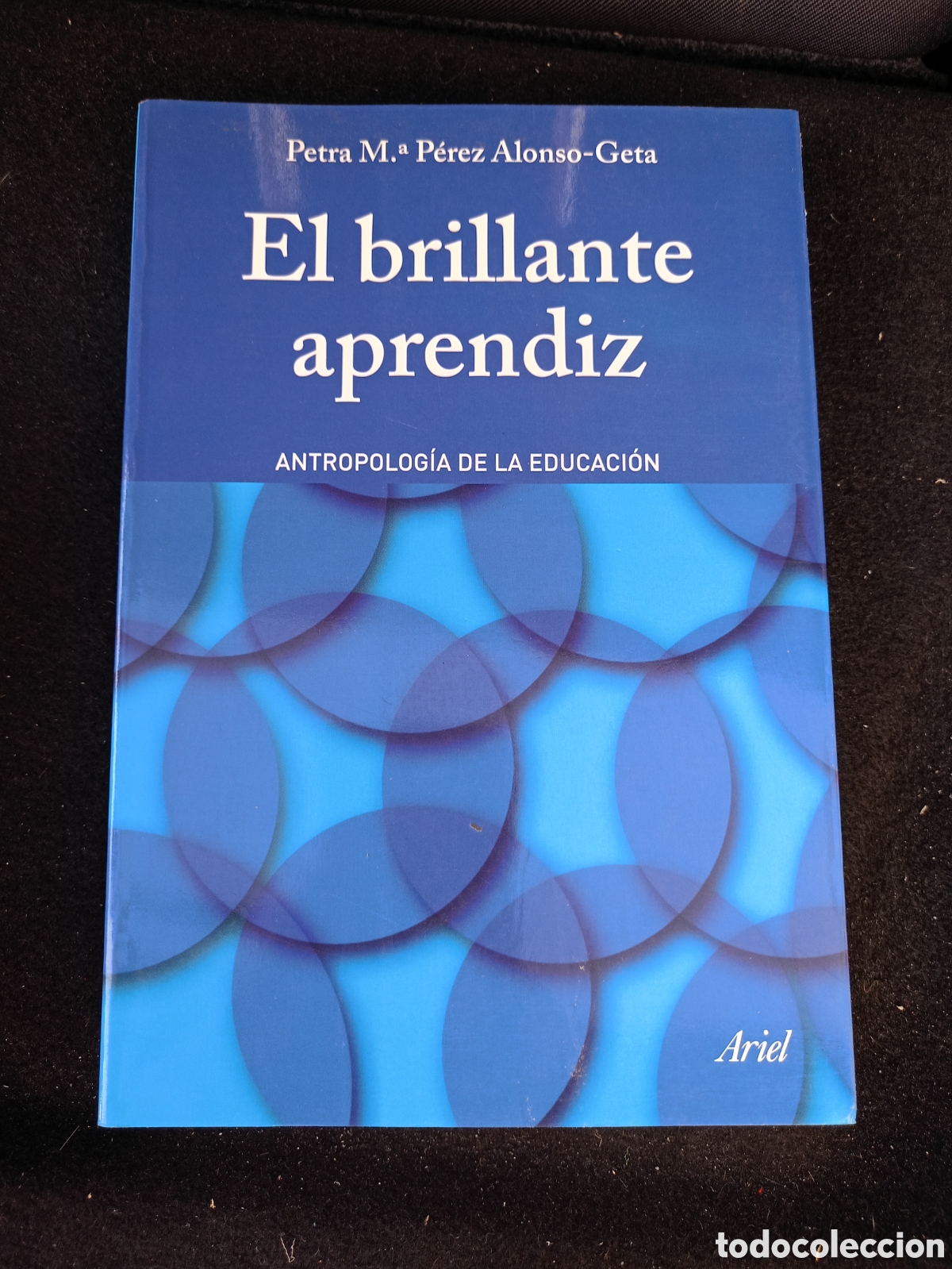 Libros de segunda mano: El brillante aprendiz ANTROPOLOGIA DE LA EDUCACION Por&nbsp;PETRA MARIA PEREZ ALONSO GETA