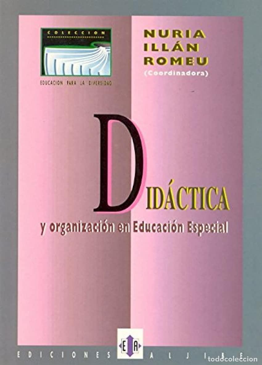Libros de segunda mano: Didactica y Organizacion En Educacion (DIVERSIDAD Y DIFICULTADES DE APRENDIZAJE)