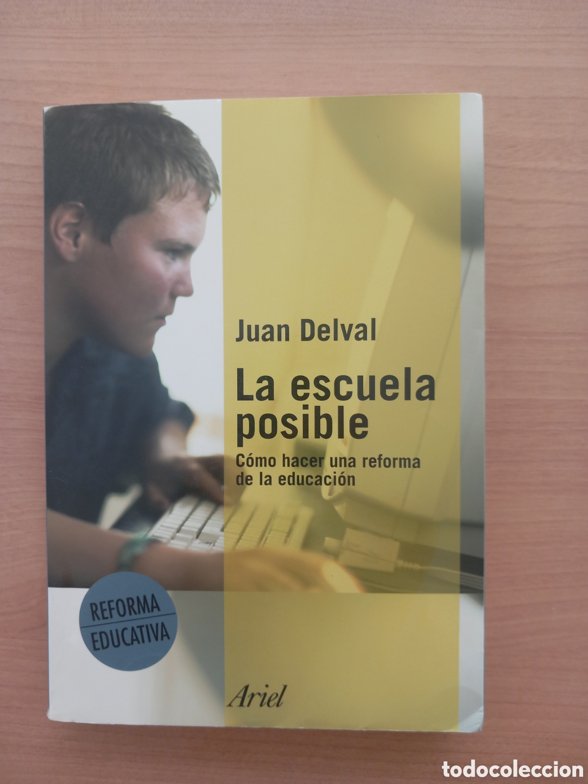 Libros de segunda mano: La escuela posible. Juan Delval