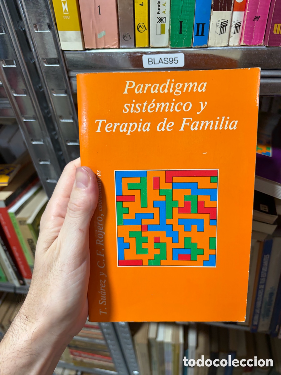 Libros de segunda mano: BLAS95 Paradigma sist&eacute;mico y Terapia de Familia