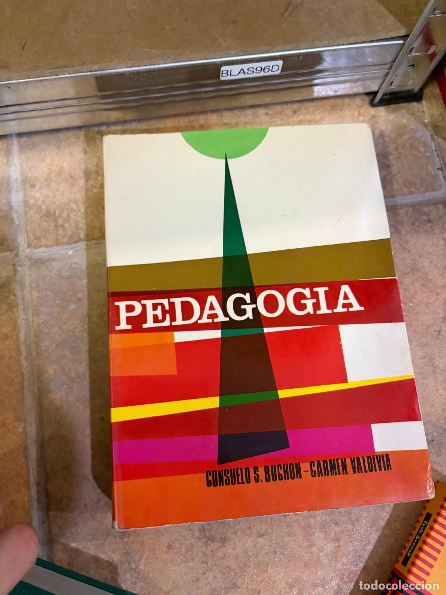 Libros de segunda mano: BLAS96D Consuelo S. Buch&oacute;n &middot; Carmen Valdivia, Pedagog&iacute;a.