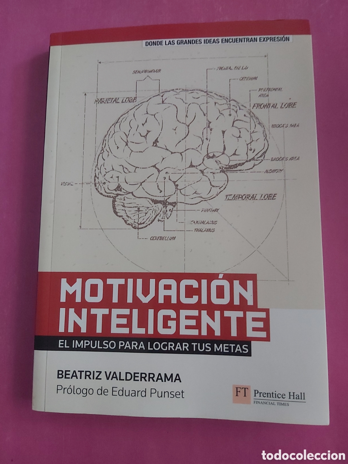Libros de segunda mano: MOTIVACI&Oacute;N INTELIGENTE EL IMPULSO PARA LOGRAR TUS METAS DEDICADO POR LA ESCRITORA BEATRIZ VALDERRAMA
