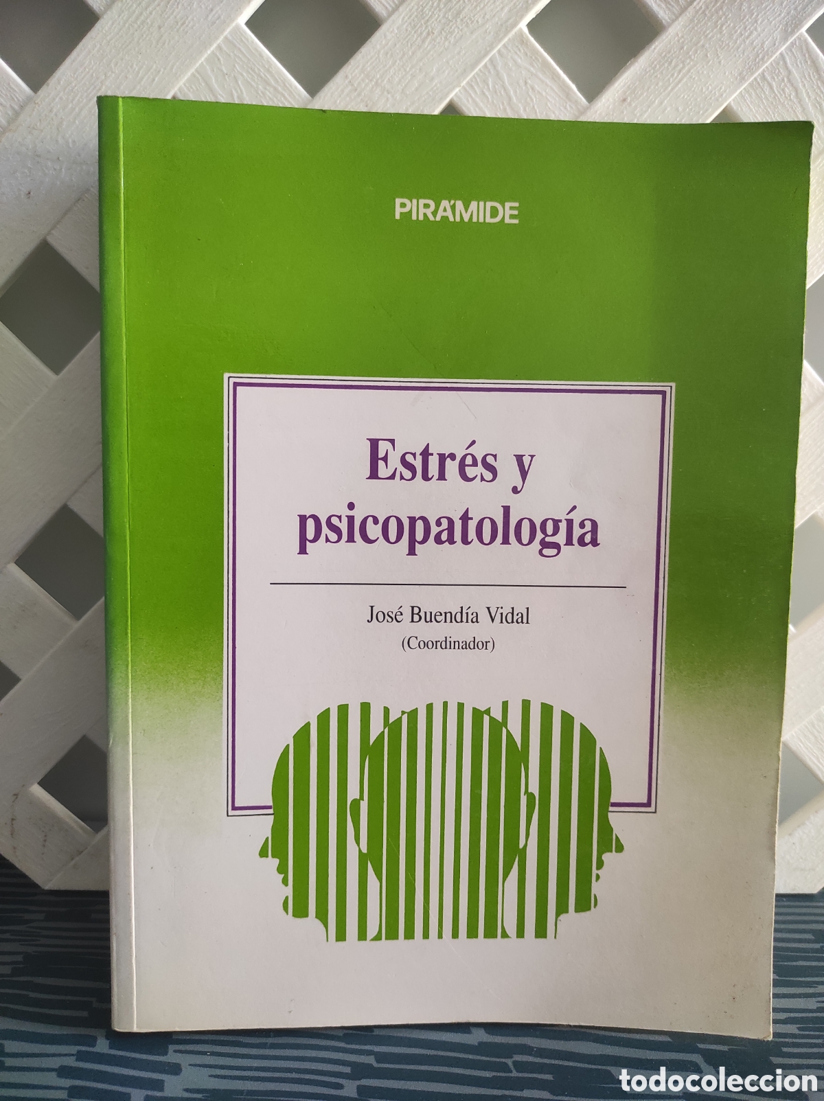 Libros de segunda mano: ESTRES Y PSICOPATOLOGIA JOSE BUENDIA COORD. PIRAMIDE