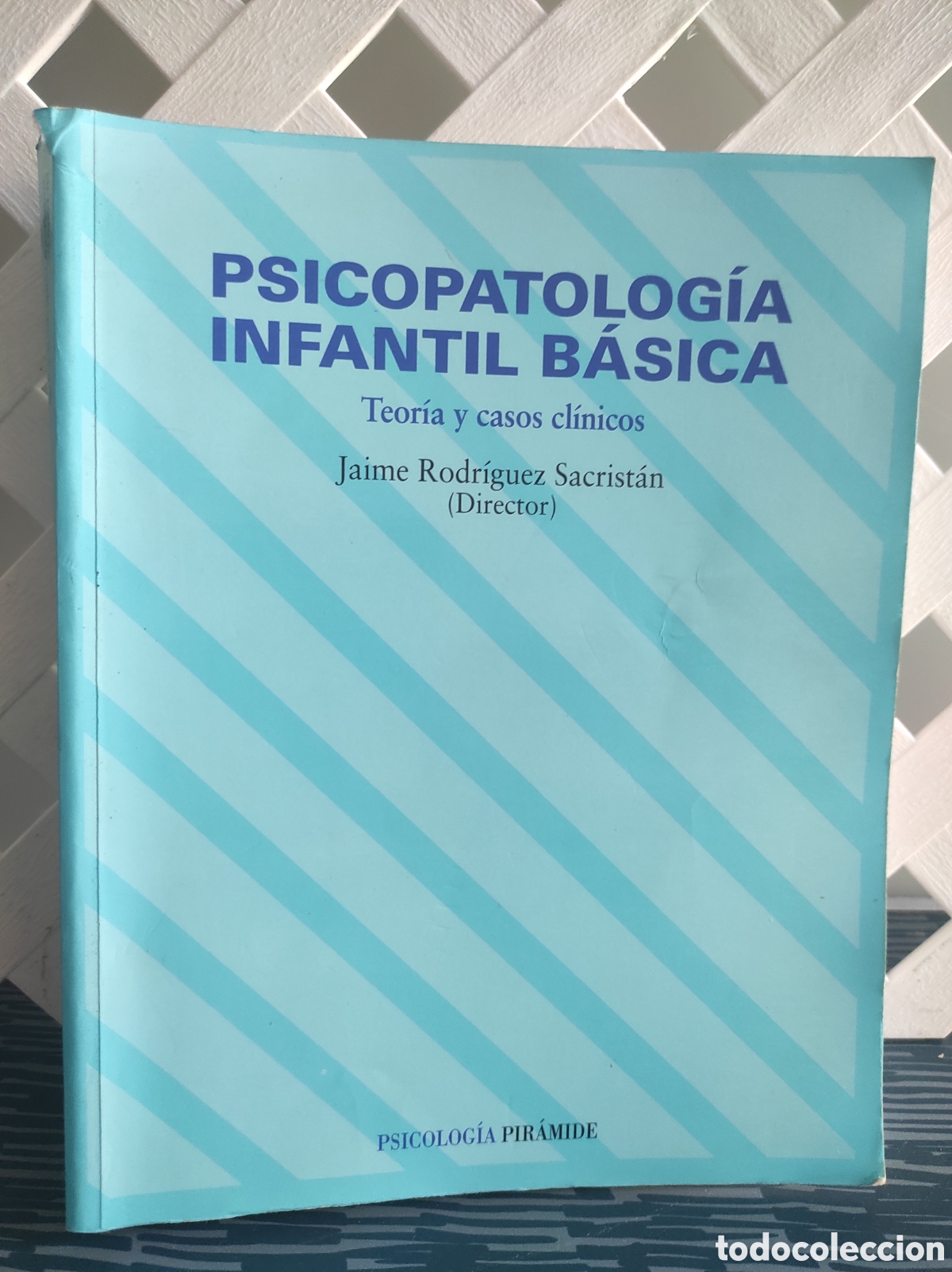 Libros de segunda mano: PSICOPATOLOGIA INFANTIL BASICA - TEORIA Y CASOS CLINICOS - JAIME RODRIGUEZ SACRISTAN
