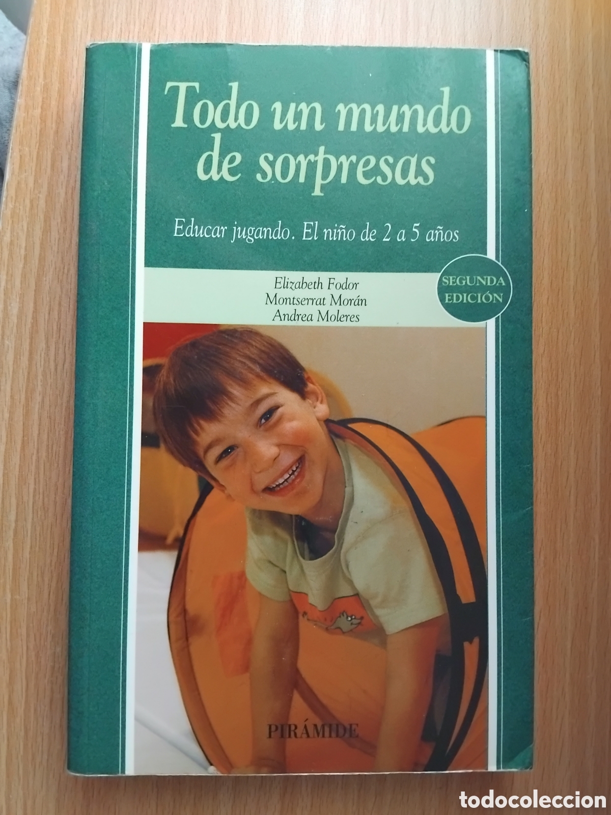 Libros de segunda mano: Todo un mundo de sorpresas;E.Fodor/M.Mor&aacute;n/A.Moleres;Pir&aacute;mide;2008