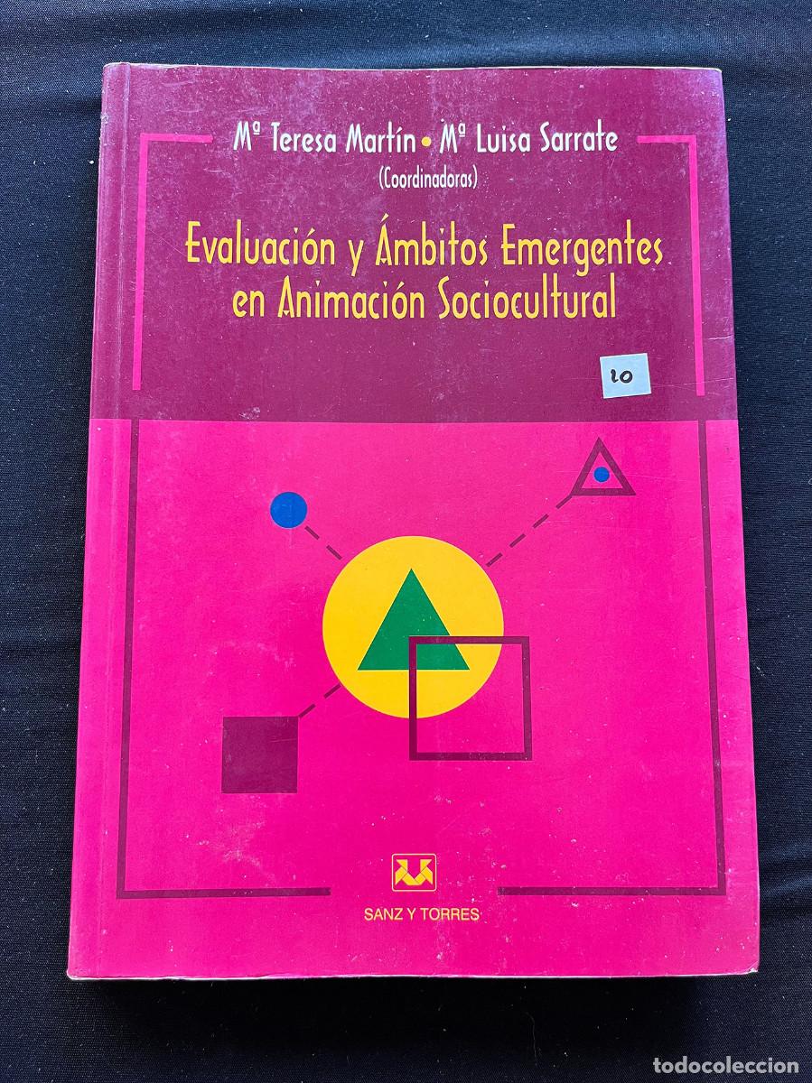 Libros de segunda mano: EVALUACI&Oacute;N &Aacute;MBITOS EMERGENTES ANIMACI&Oacute;N SOCIOCULTURAL. 1999. COORDINA M&ordf; TERESA MARTIN.SANZ Y TORRES