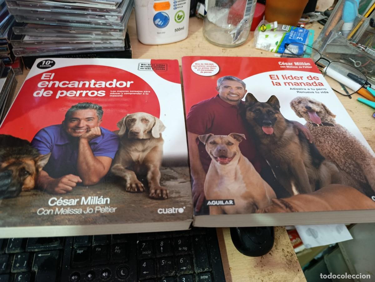 Libros de segunda mano: EL ENCANTADOR DE PERROS. Y EL LIDER DE LA MANADA. CESAR MILLAN EST33B1