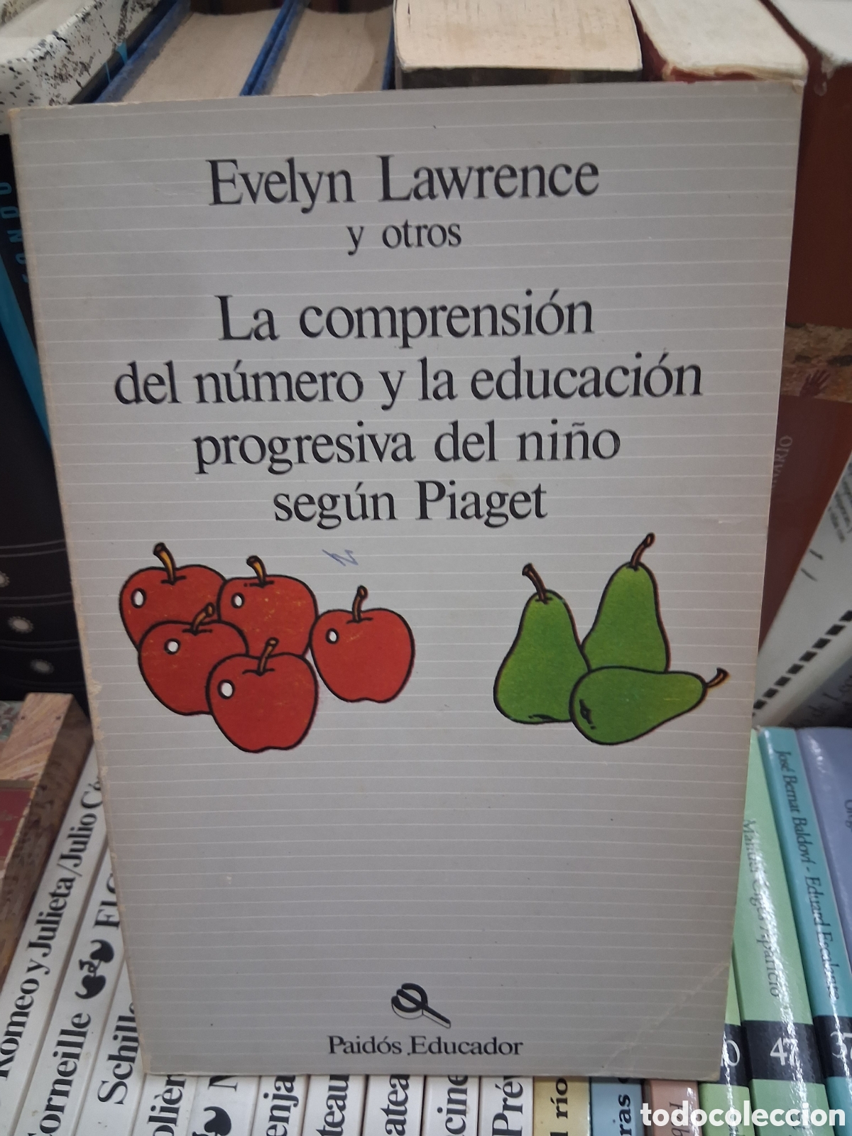 Libros de segunda mano: La comprensi&oacute;n del n&uacute;mero y la educaci&oacute;n progresiva del ni&ntilde;o seg&uacute;n Piaget. Evelyn Lawrence. Paidos