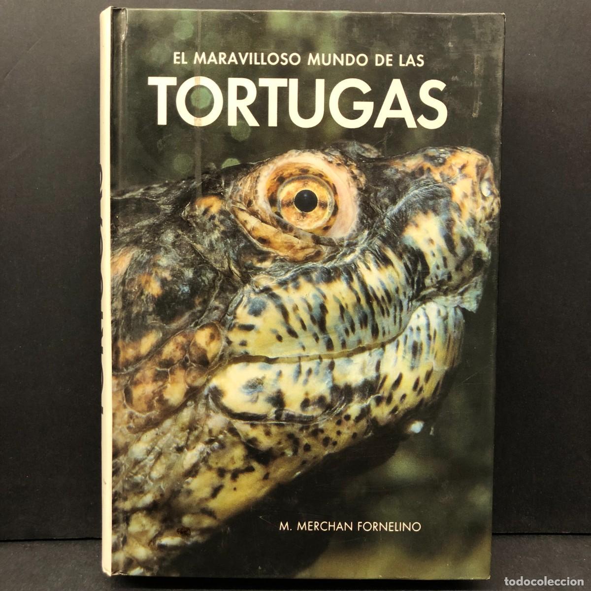 Libros de segunda mano: EL MARAVILLOSO MUNDO DE LAS TORTUGAS - M. MERCHAN FORNELIO - EDICIONES ANTIQVARIA / 1115