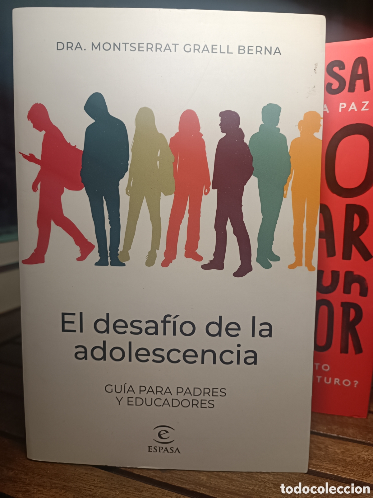 Gebrauchte B&uuml;cher: El desaf&iacute;o de la adolescencia gu&iacute;a para Padres educadores espasa Dra Monserrat graell berna 2024