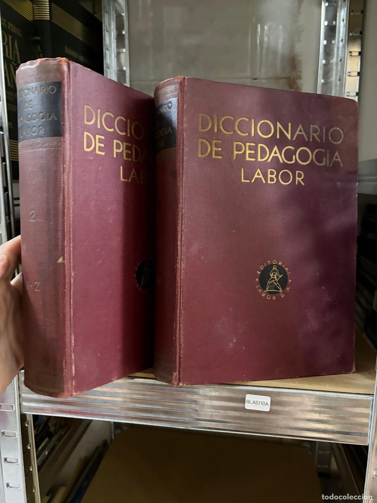Libros de segunda mano: BLAS110A Diccionario de Pedagog&iacute;a Labor 2 tomos