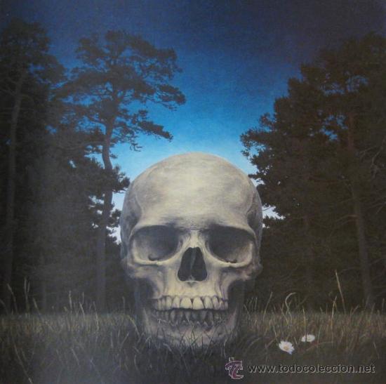 Libros de segunda mano: &ldquo;JOAQU&Iacute;N RISUE&Ntilde;O&rdquo; (2010), CAT&Aacute;LOGO EXPOSICI&Oacute;N, SIN USO, IMPECABLE ESTADO - Foto 1