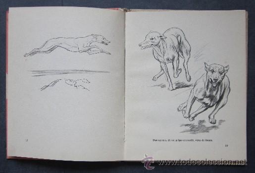 Libros de segunda mano: COMO DIBUJAR PERROS - Foto 3