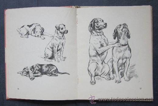 Libros de segunda mano: COMO DIBUJAR PERROS - Foto 5