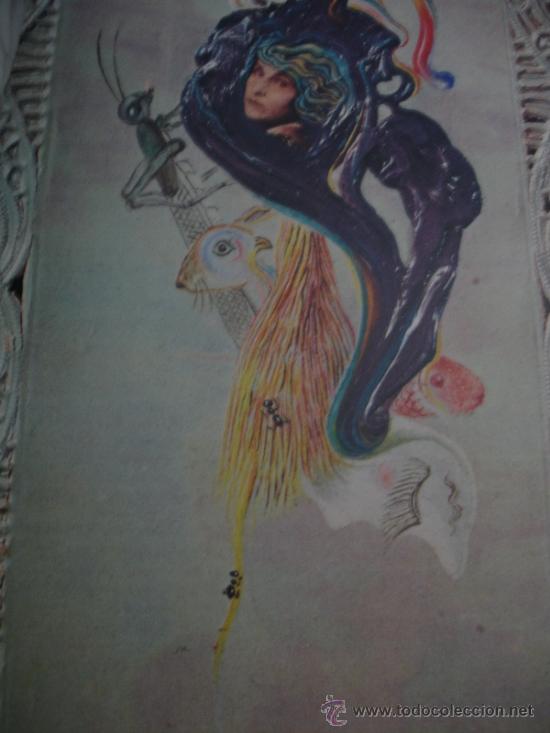 Libros de segunda mano: DALI DALI EDITORIAL BRUME - Foto 2