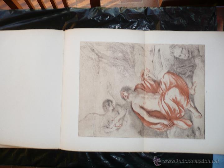 Libros de segunda mano: GUERCINO DISEGNI 1966 - Foto 10