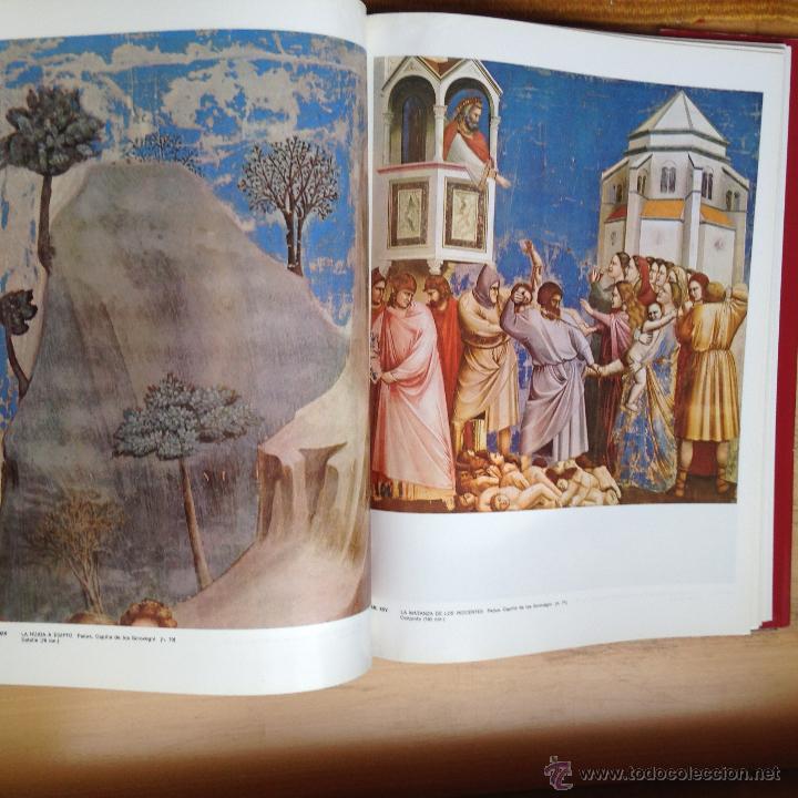 Libros de segunda mano: Giotto. Planeta. 1988 - Foto 3