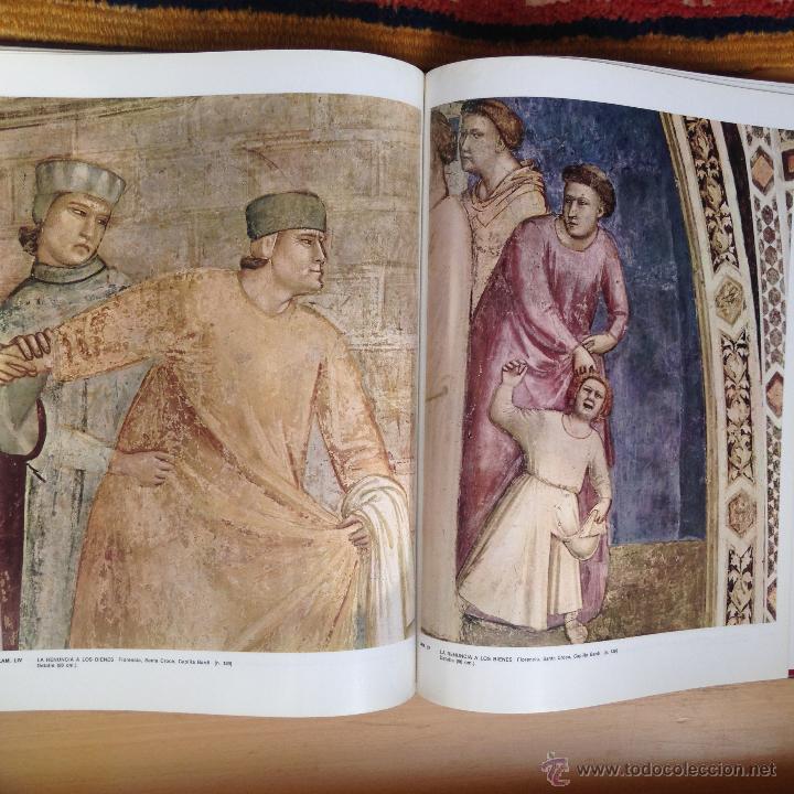 Libros de segunda mano: Giotto. Planeta. 1988 - Foto 6