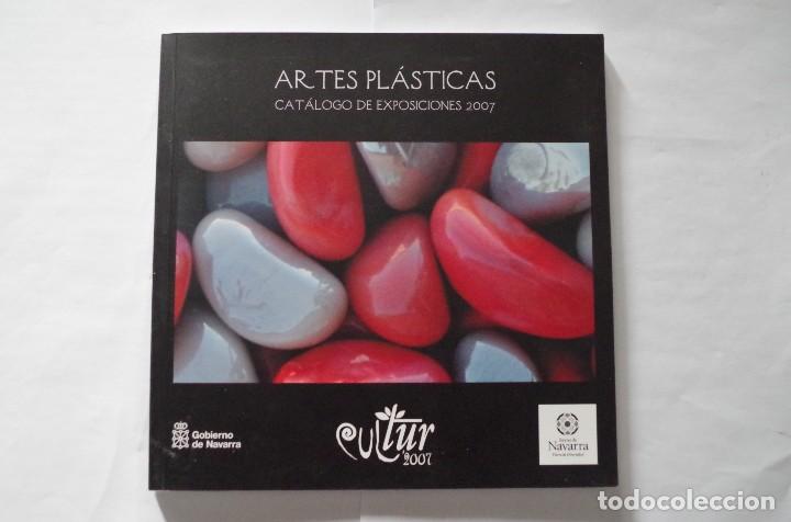 Libros de segunda mano: ARTES PLASTICAS CATALOGO DE EXPOSICIONES 2007 - CULTUR - GOBIERNO DE NAVARRA