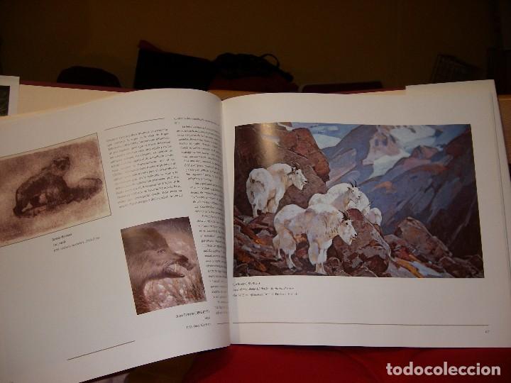 Libros de segunda mano: Pintores de la Naturaleza - Foto 3