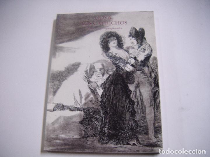 Libros de segunda mano: LIBRO DE DIBUJOS Y AGUAFUERTES DE GOYA /LOS CAPRICHOS - Foto 1