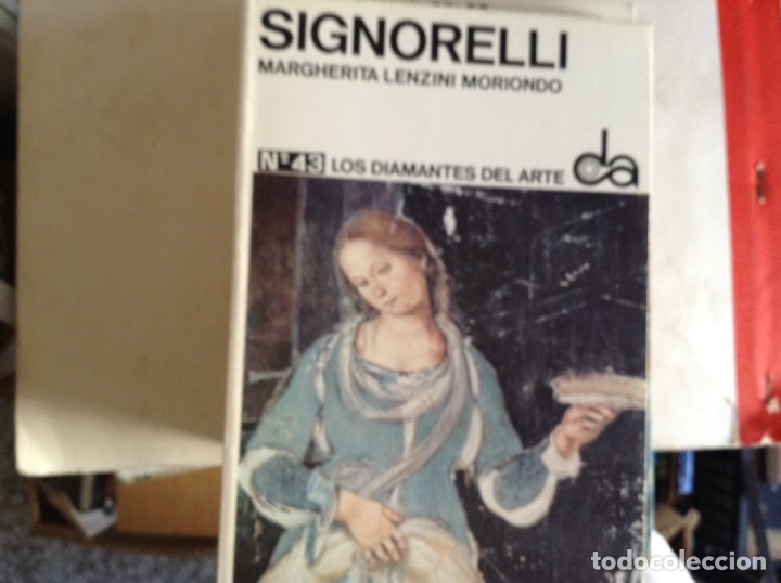 Libros de segunda mano: Signorelli. Margherita Lenzini - Foto 1