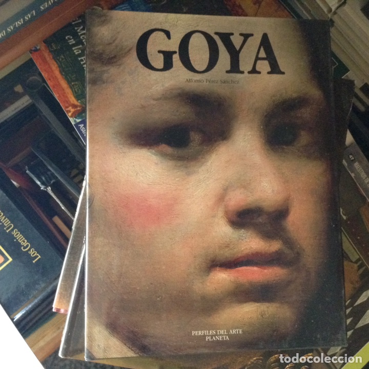 Libros de segunda mano: Goya. Alfonso P&eacute;rez - Foto 1