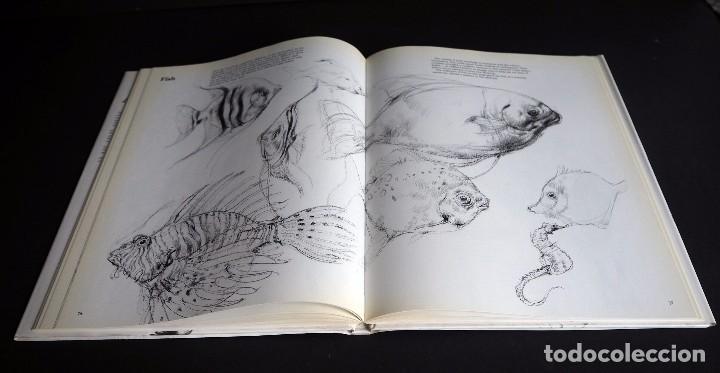 victor ambrus. drawing animals. grange books 19 - Comprar Libros de pintura en todocoleccion ...