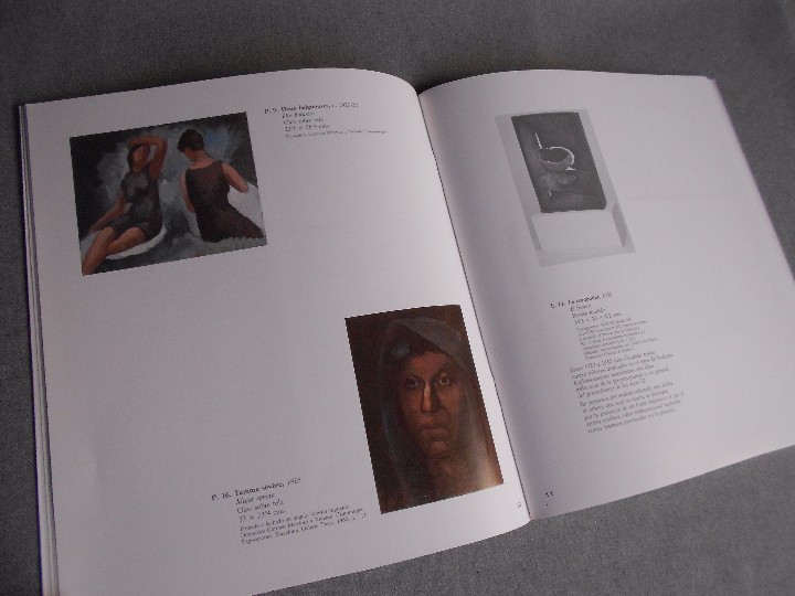 Libros de segunda mano: CATALOGO JULIO GONZALEZ - Foto 8