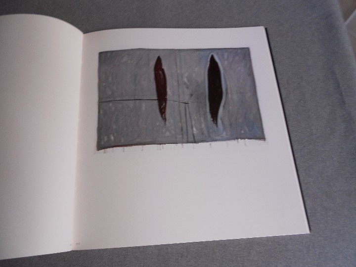 Libros de segunda mano: CATALOGO DE EXPOSICION DE HERNANDEZ PIJUAN - Foto 5